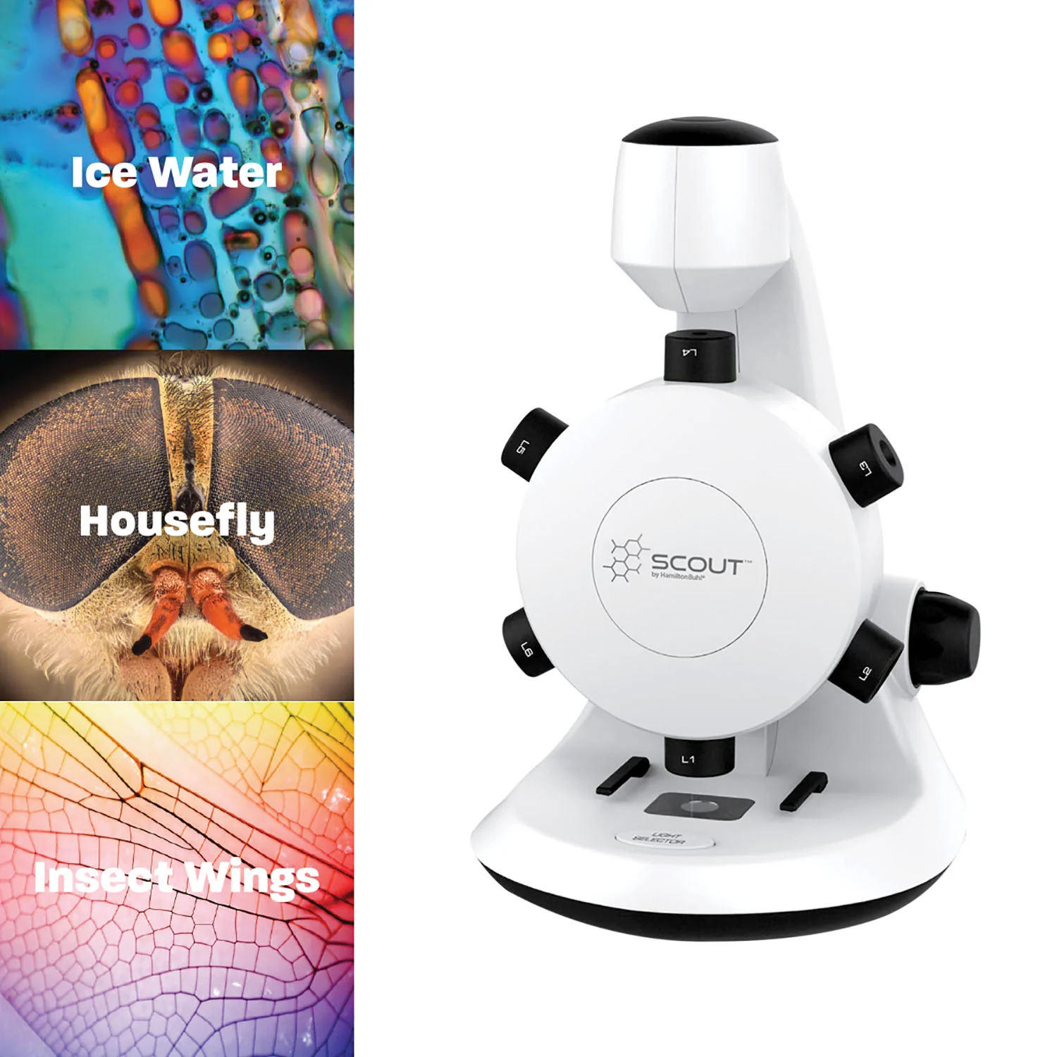 HamiltonBuhl Scout Digital Microscope - STEM Educational Kit with Six Lenses - Image 4