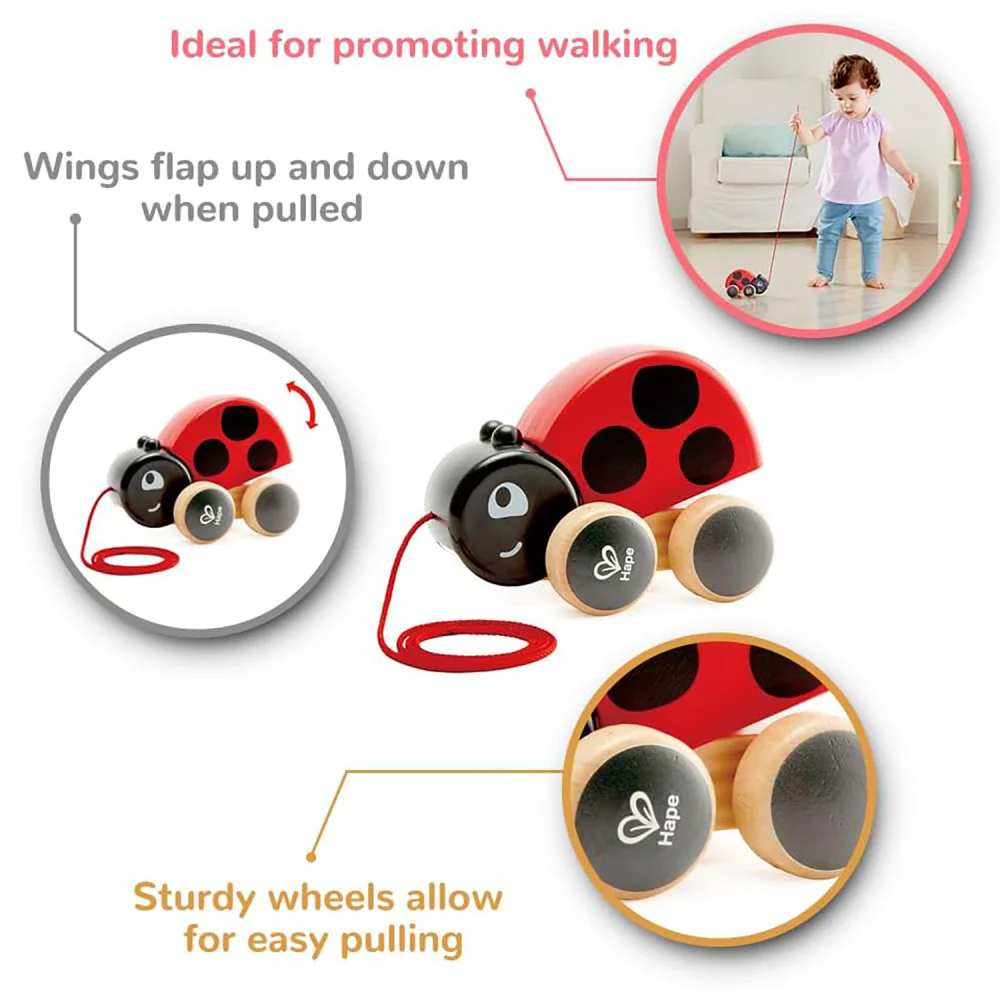 Hape Pull-Along Ladybug – Red & Black, Wooden Toy with Moving Wings - Image 2
