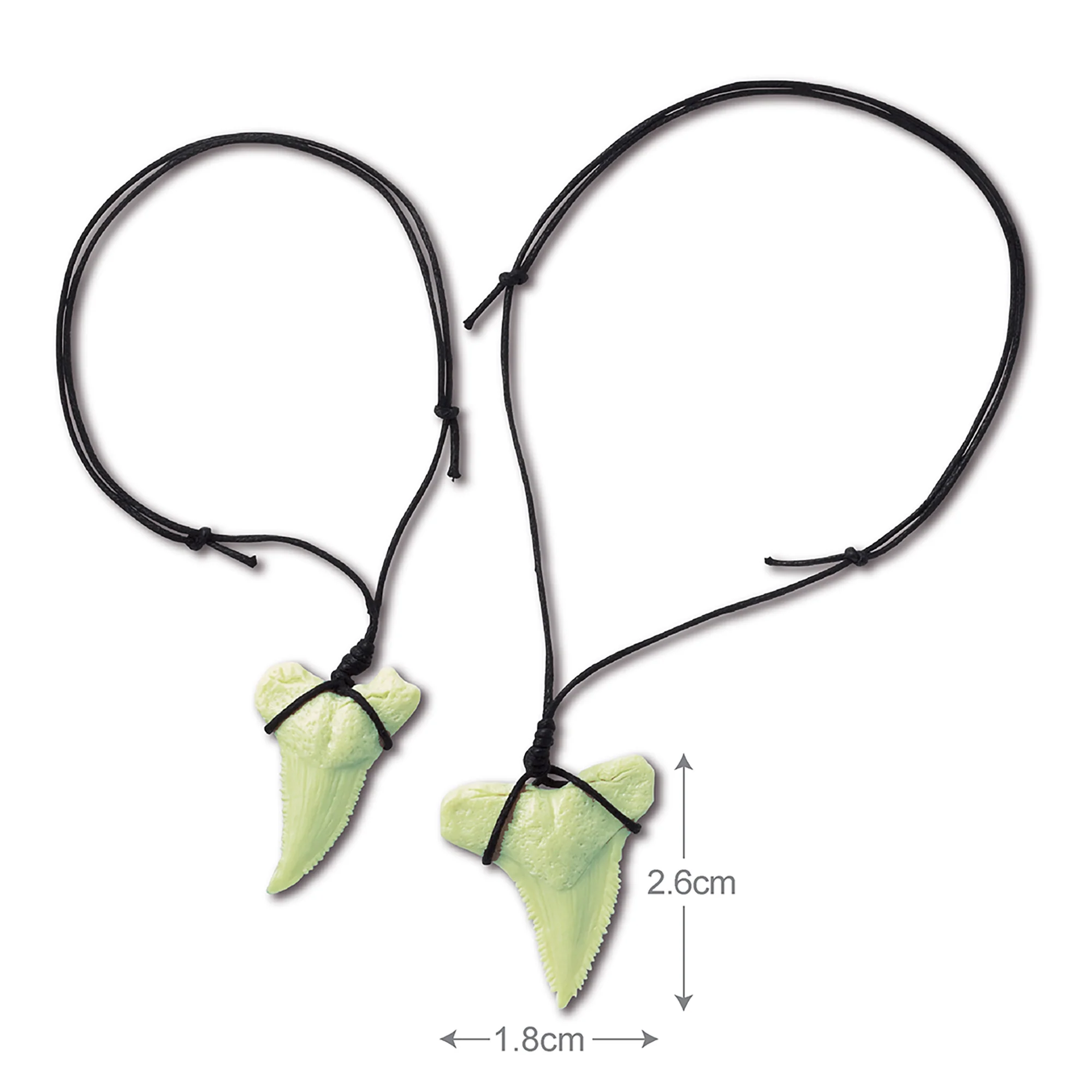 KidzLabs Glow-in-the-Dark Shark Tooth Fossil Digging Kit - Image 5