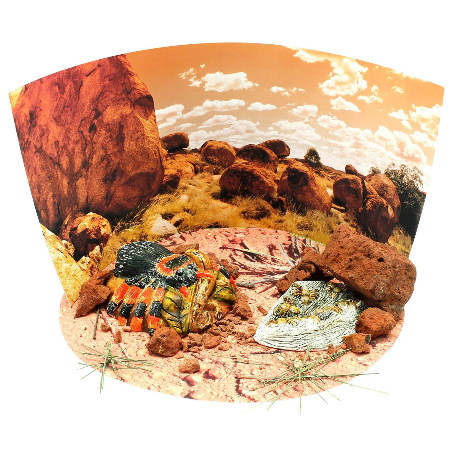 Wild Environmental Science Extreme Spiders Kit - Educational Spider Model Set - Image 5