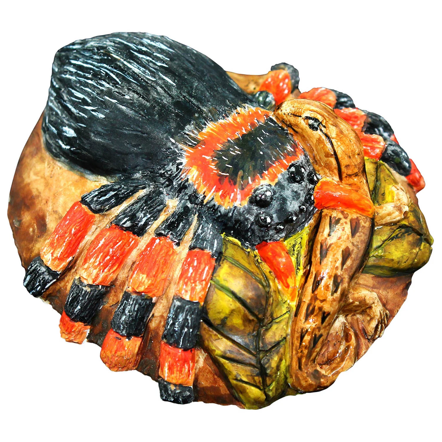 Wild Environmental Science Extreme Spiders Kit - Educational Spider Model Set - Image 7