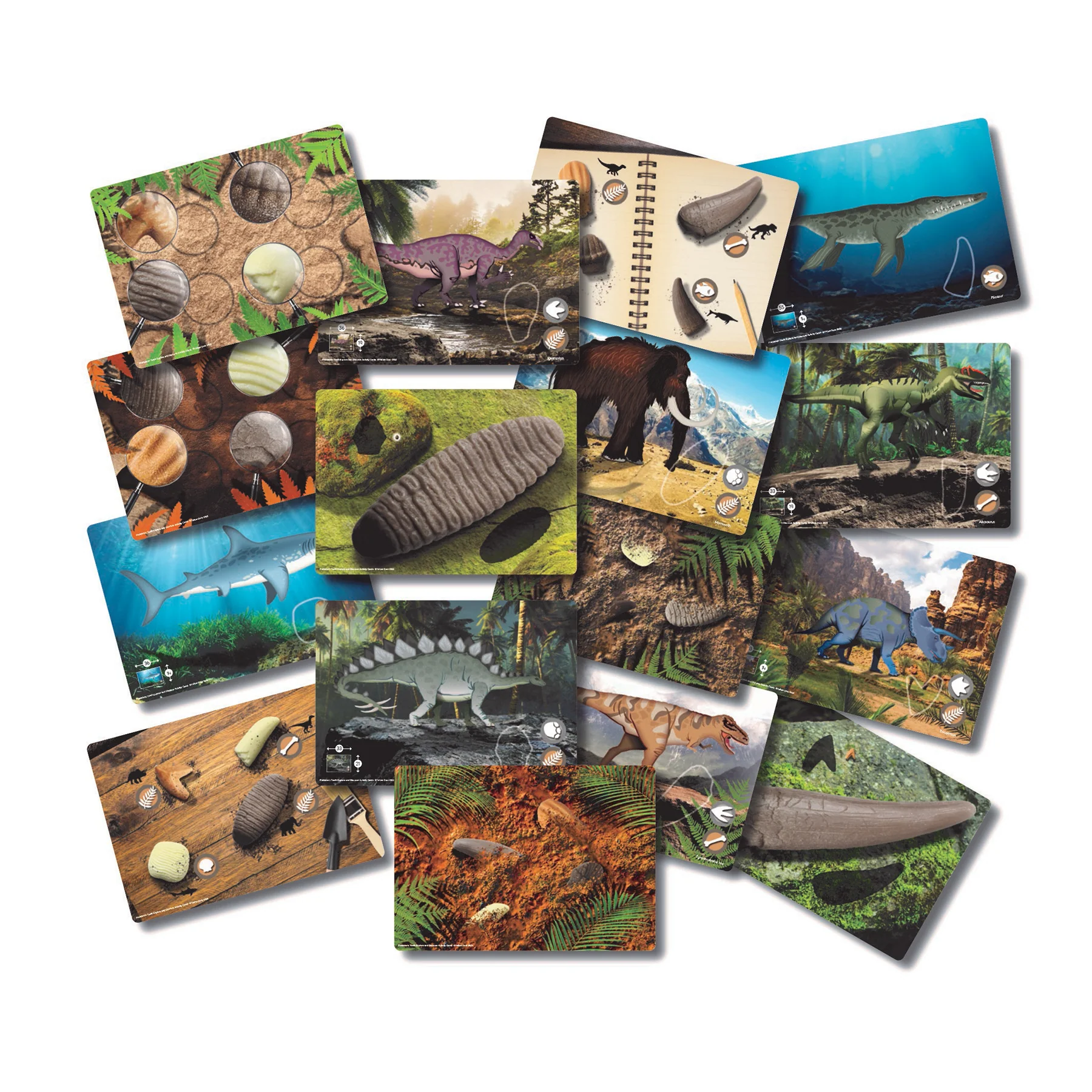 Yellow Door Prehistoric Teeth Activity Cards - Discover Dinosaur Secrets - Set of 16 - Image 2